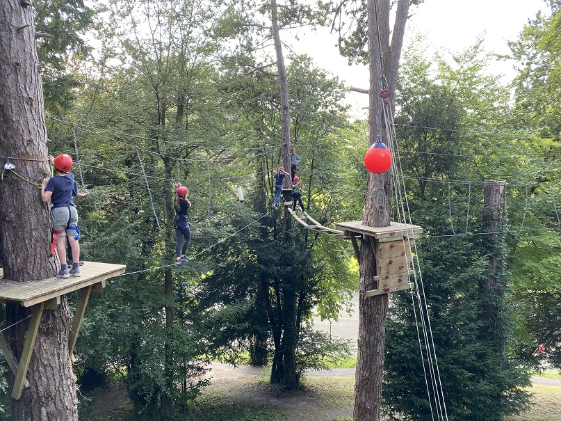 tree tops team building